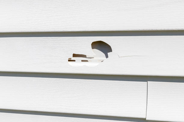 Best Insulated Siding Installation  in Lolo, MT